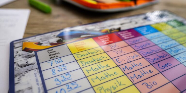 verifica retribuzione docenti