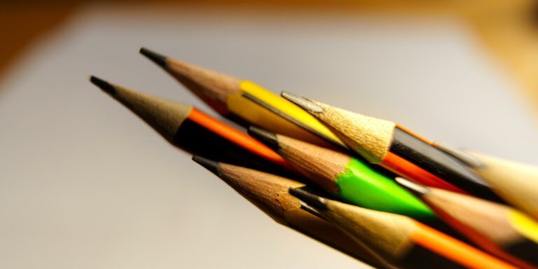 concorso sna